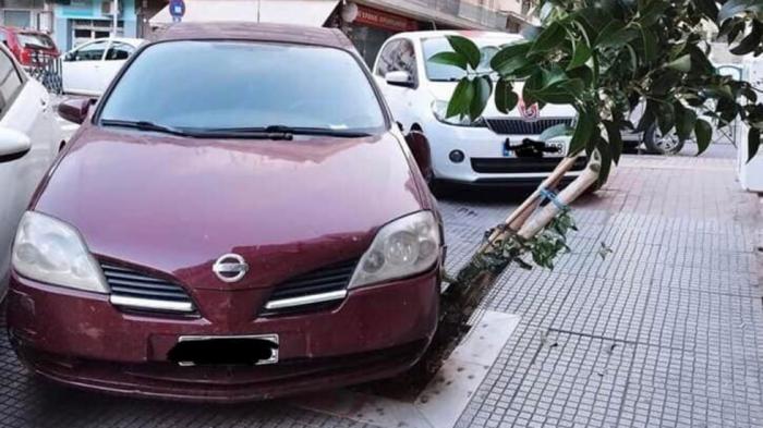 Θεσσαλονίκη: Πάρκαρε πάνω σε δέντρο και δέχτηκε μήνυση από το Δήμο 